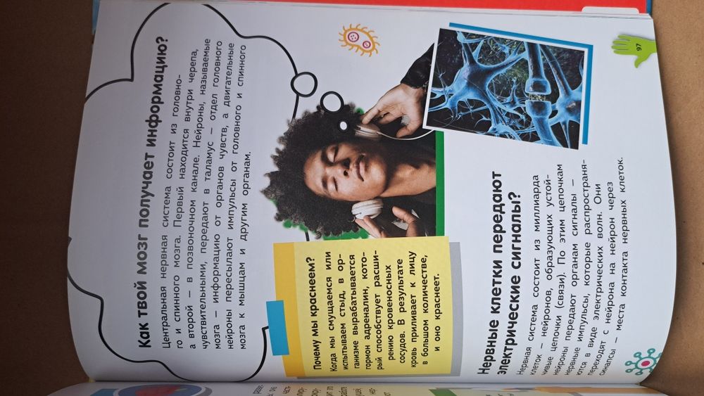 Путеводитель по телу человека/Вопросы и ответы