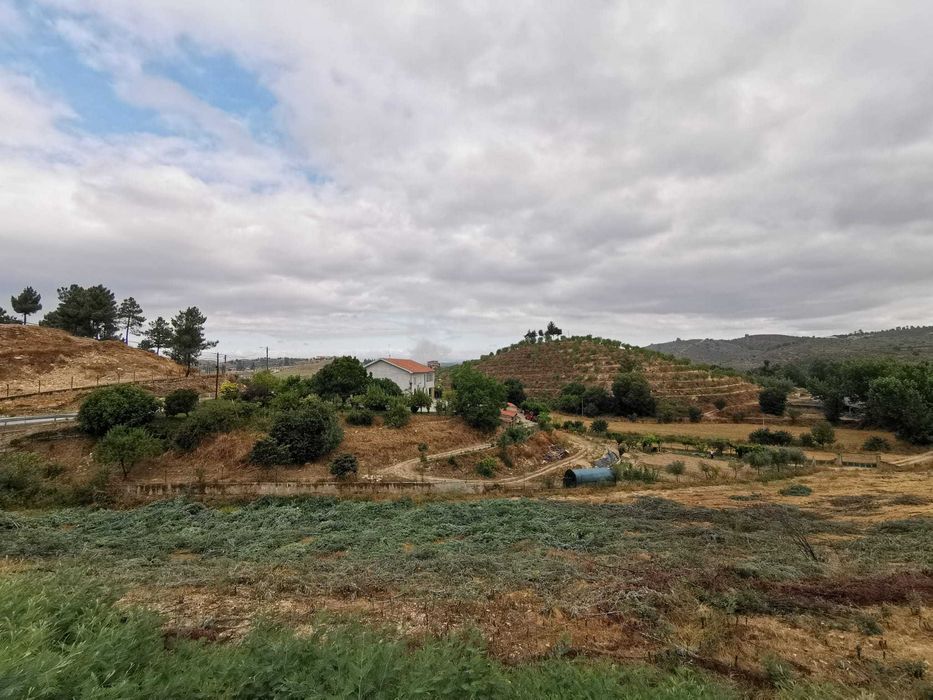 Terreno para utilização agrícola e com viabilidade de construção