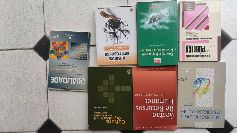 Lote 17 Livros de Gestão