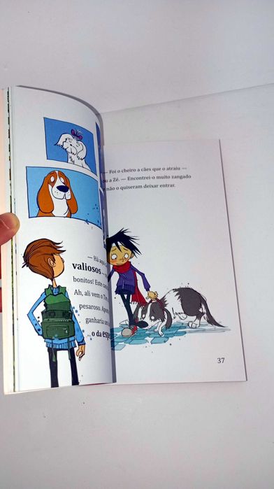 Uma Aventura nas férias - Os Mini Cinco