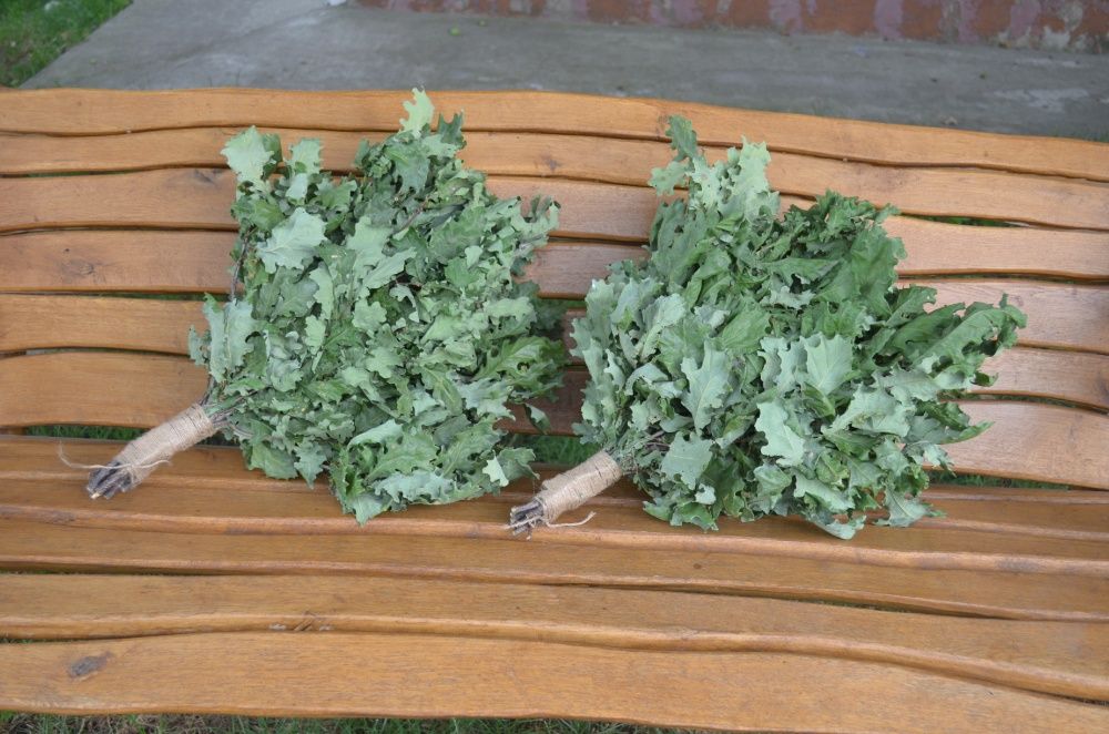 Віники для лазні та сауни березовий дубовий евкаліпт лаванда мята поли