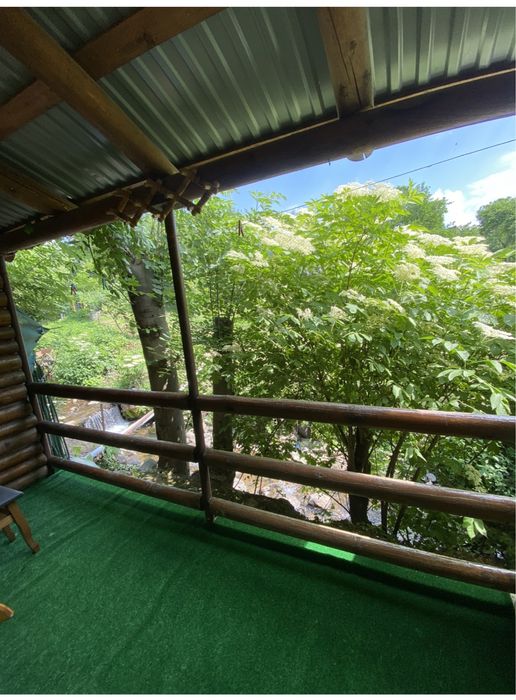 Відпочинок у Карпатах