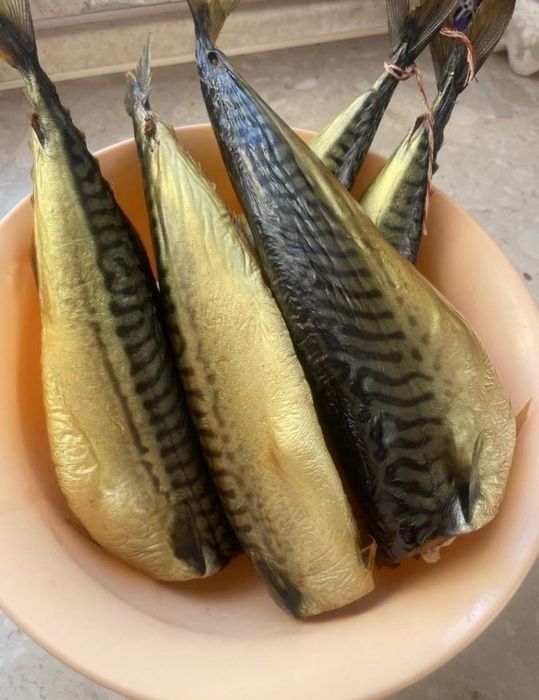 Wędzarnia na zimno i gorąco