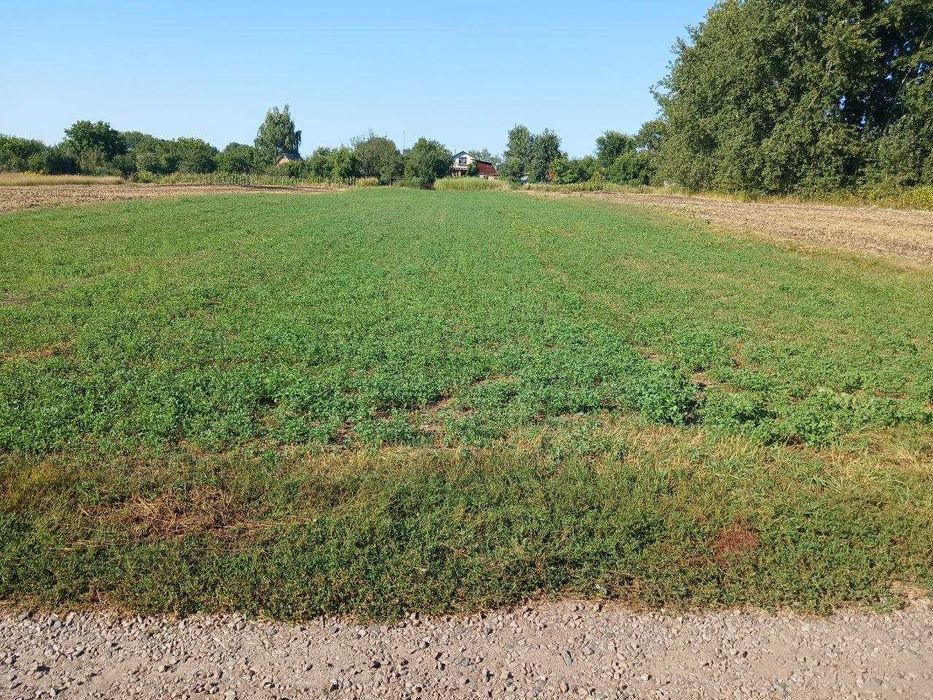 Єрківці, земельна ділянка 0,21 га