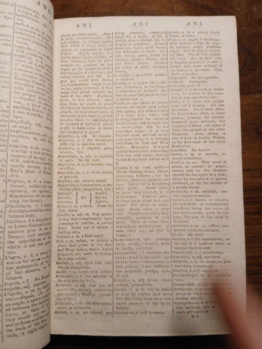 António Vieira, A Dictionary of the Portuguese and English Languages