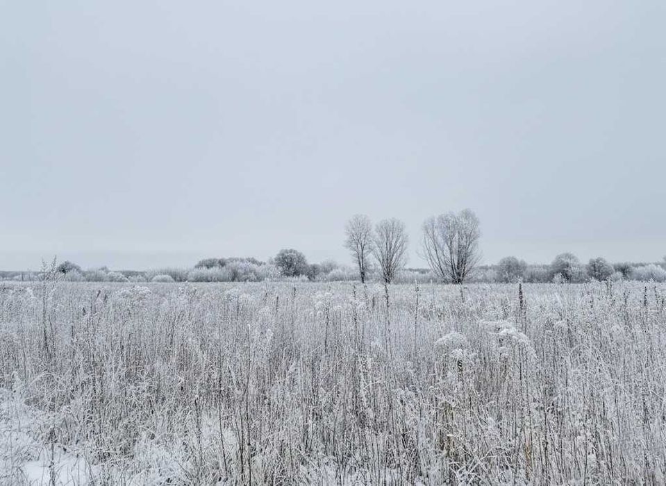 Продаж ділянки 164 сотки - ОСГ. Електрика - 1км. Біля річки. ID:758