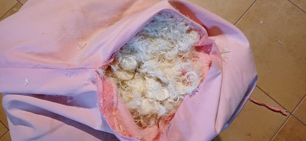 Pierze,puch z gesi używane.