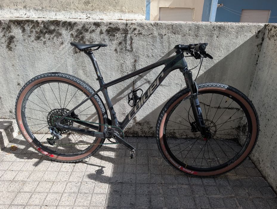 Coluer Poison SL 6.1 2021