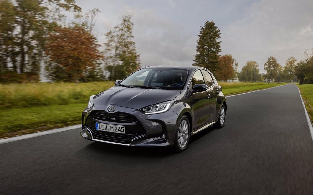 Zdjecie w galerii numer 5