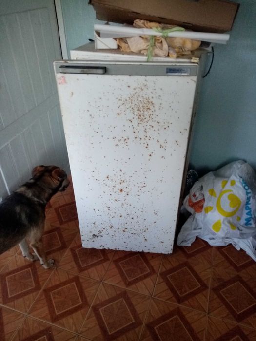 Холодильник днепр 2