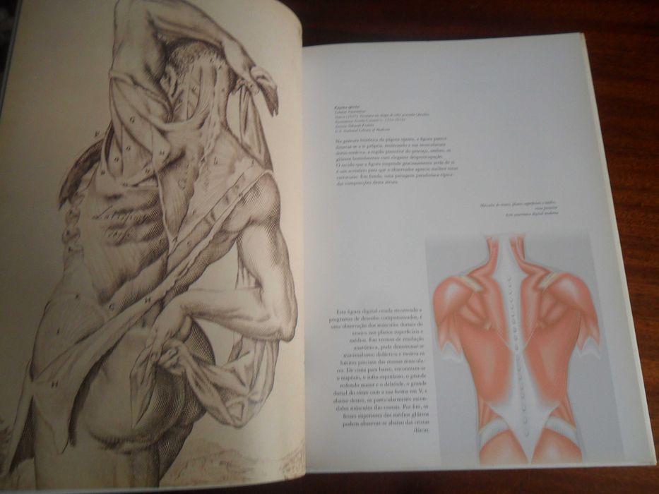 "Atlas da Arte Anatómica" de Dr. Luis Raúl Lépori 1ª Edição de 2006