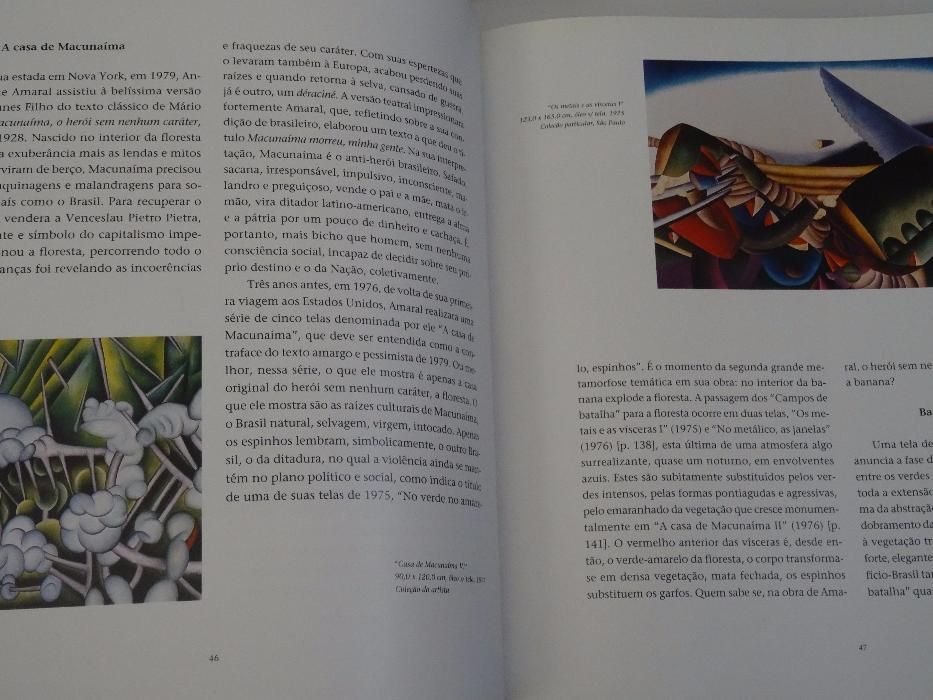 Obra Em Processo Antonio Henrique Amaral