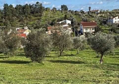 TERRENO URBANO COM 1.180 M² | MOURISCAS, ABRANTES
