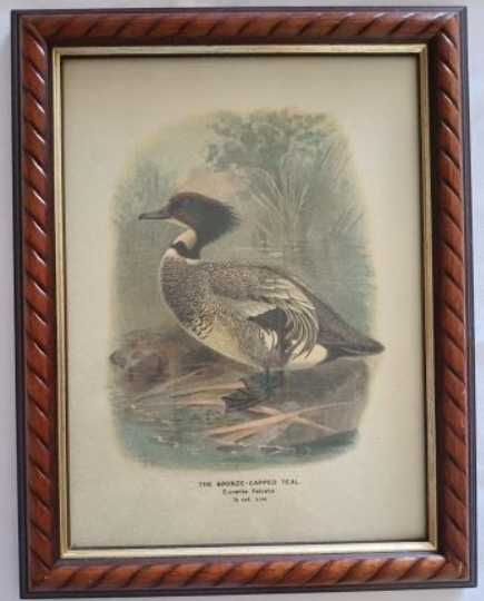 Conjunto de 4 Molduras com Patos