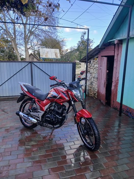 Musstang Region mt 08