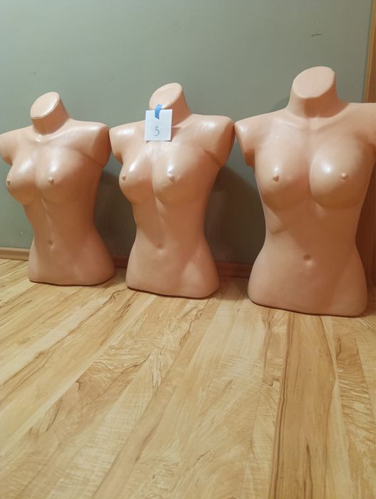 Manekin kobiecy, meski krawiecki ekspozycja