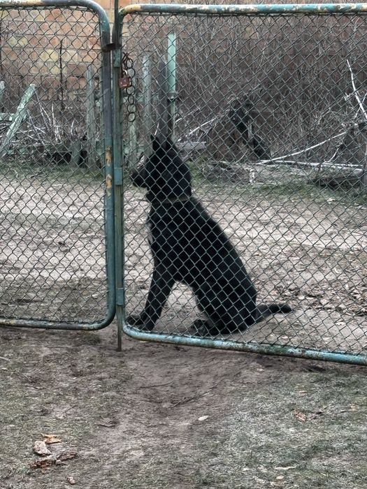 Шукаємо родину для хлопчика