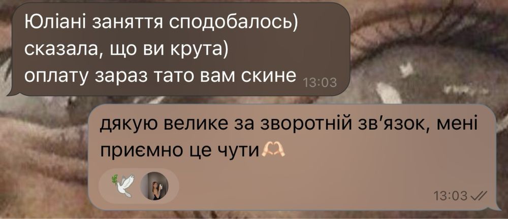 Підготовка до НМТ: українська та історія | результат 195+
