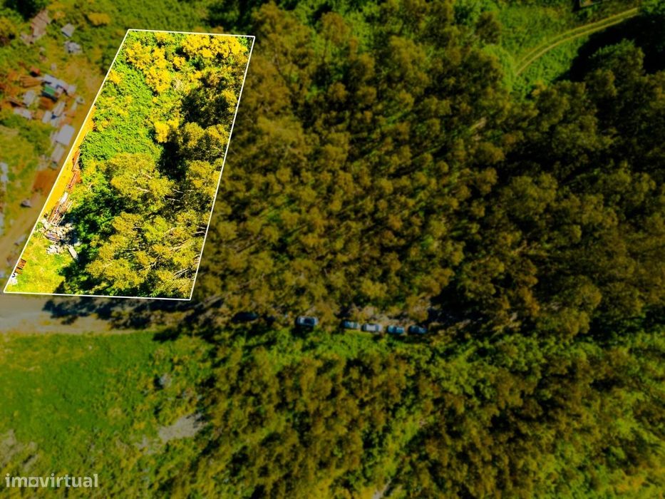 Terreno com 1660m2 e Duas frentes de estrada - Camacha