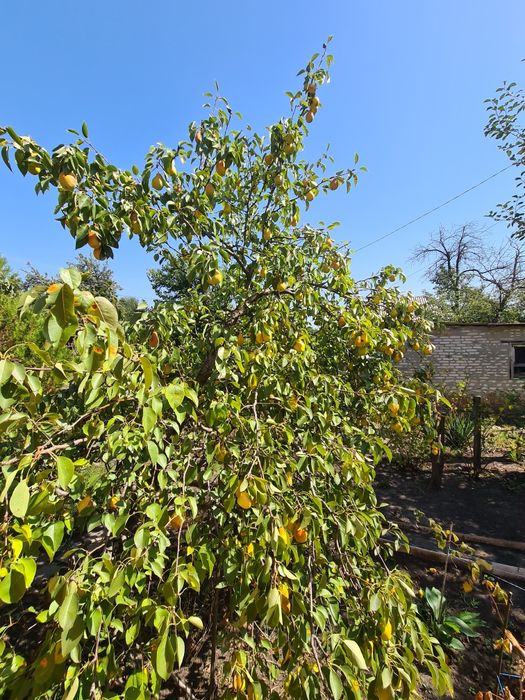 Продам дом "Райский уголок" в Таромском