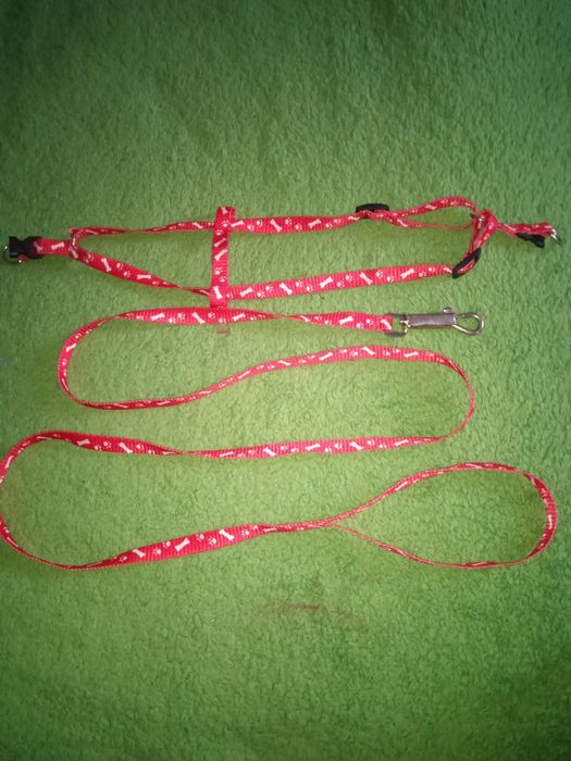 Продам повідок для котика та нашийник від паразитів