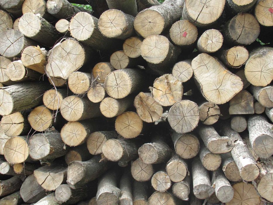 Drewno opałowe, kominkowe! Cięte lub w wałku!