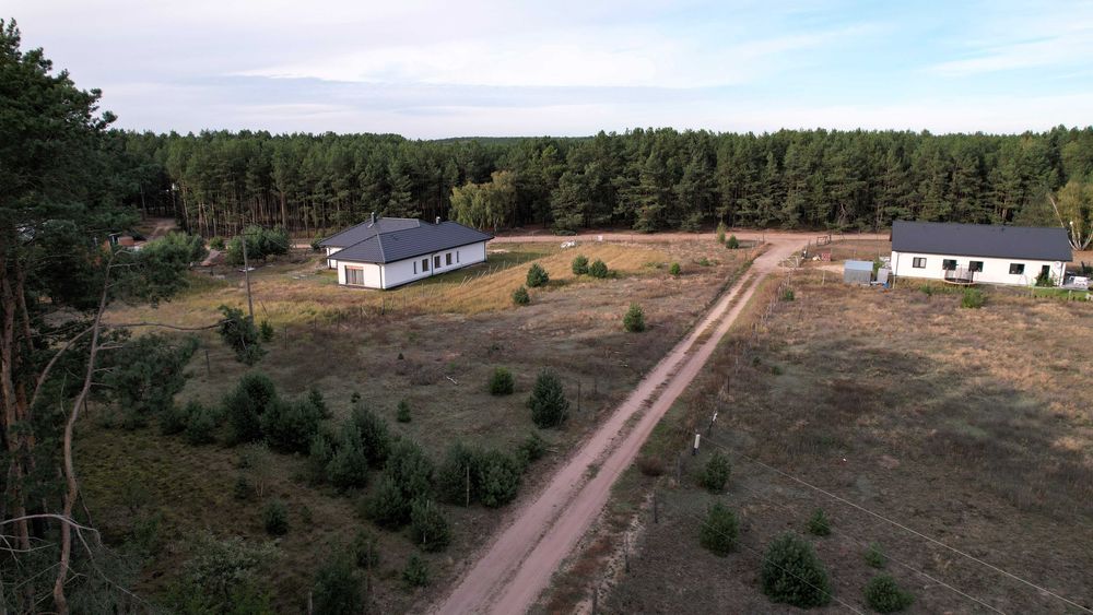 Działka 3002 m² z kawałkiem lasu – pohled 6
