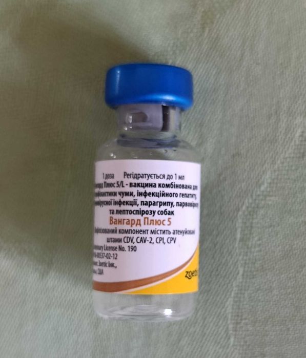Вангард Плюс 5, залишки