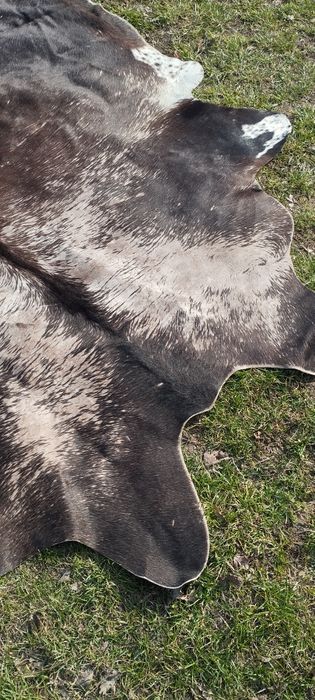 Skóra naturalna bydlęca 190x160 cm