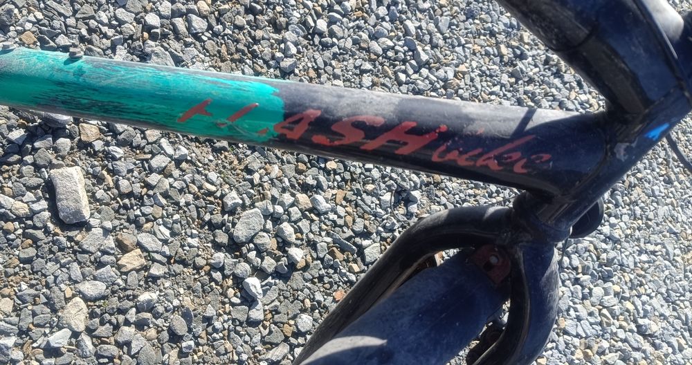 Tani rower Flash Bike Shimano
