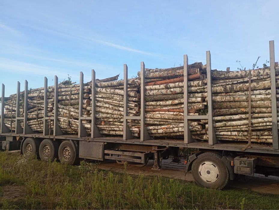 Продам дрова оптом/гуртом