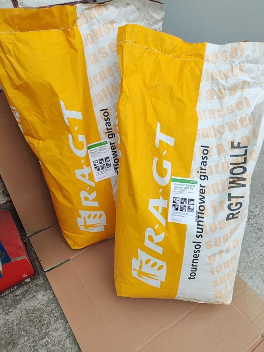 Насіння соняшника RAGT RGT WOLLF (РЖТ Волльф) Класичний Екстра плюс