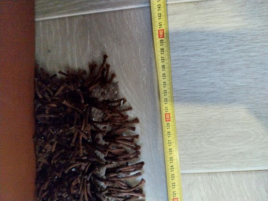 Carpete bege e castanha