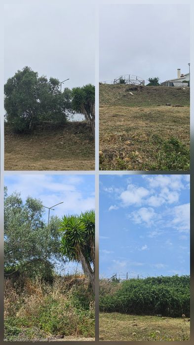 Limpeza de terreno e jardim