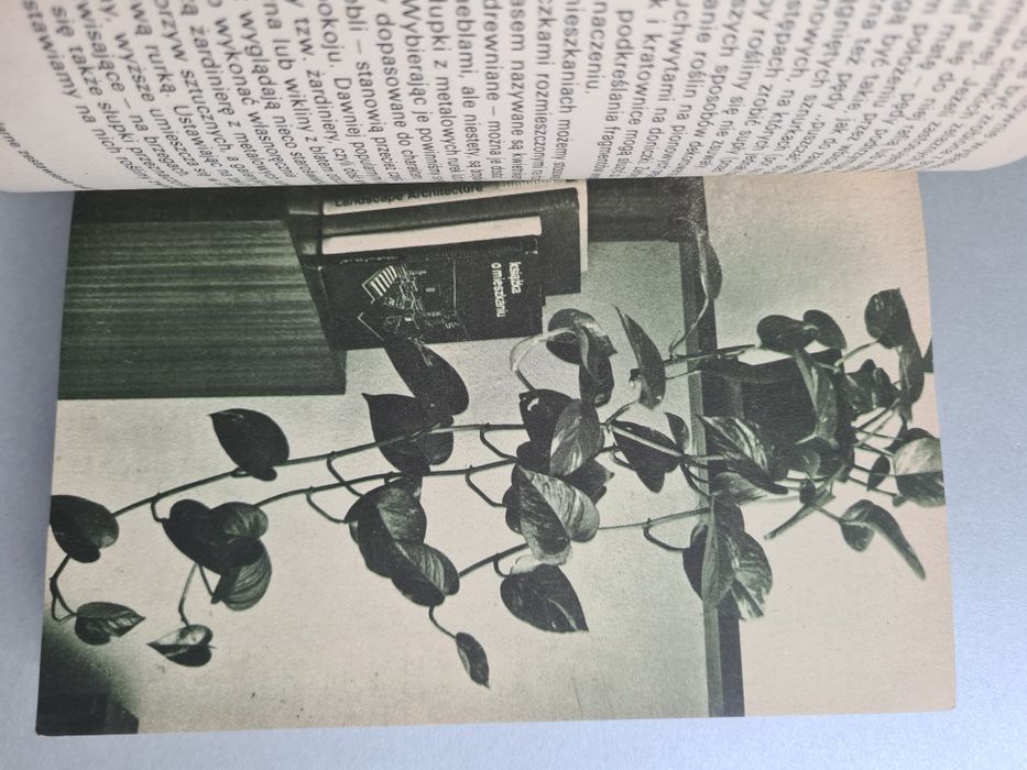 Rośliny ozdobne w mieszkaniu i na balkonie - Izabela Kiljańska