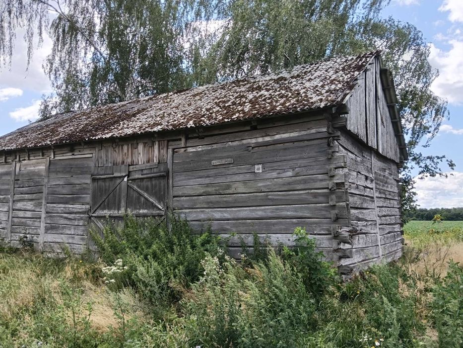 Stara stodoła do rozbiórki