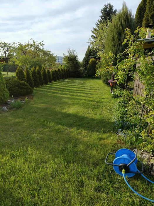 Działka ROD Jedność Nakło nad Notecią 416 m2