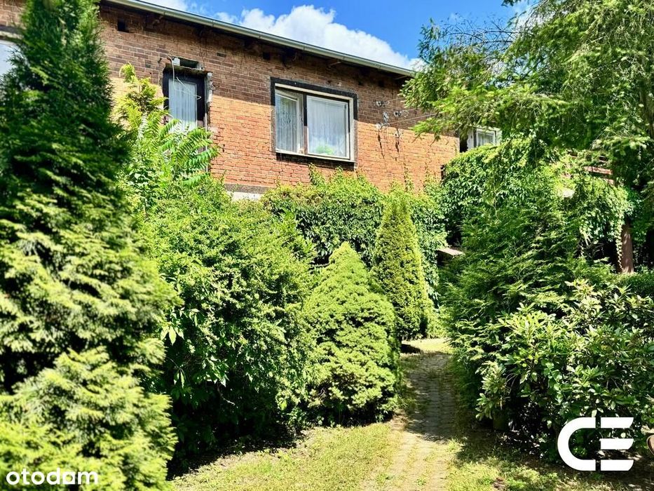 Siedlisko 2,3 ha | zabudowania | cisza | Zbytowa