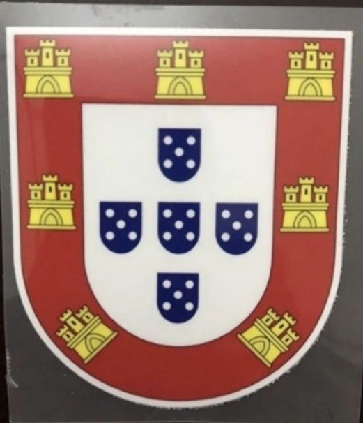 Campeão nacional/FC Porto