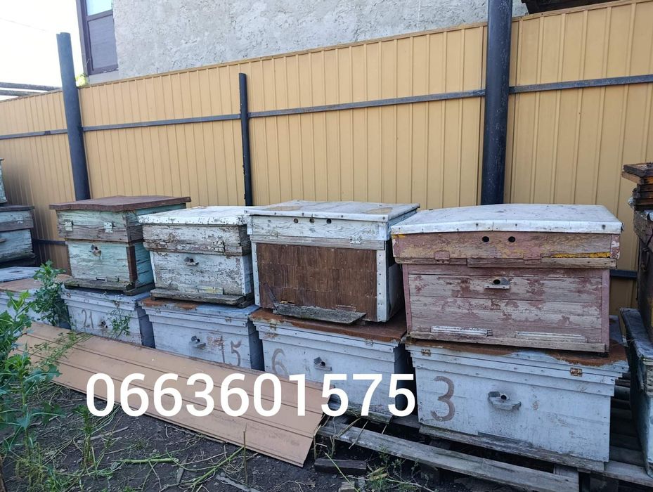 Продам улья лежаки