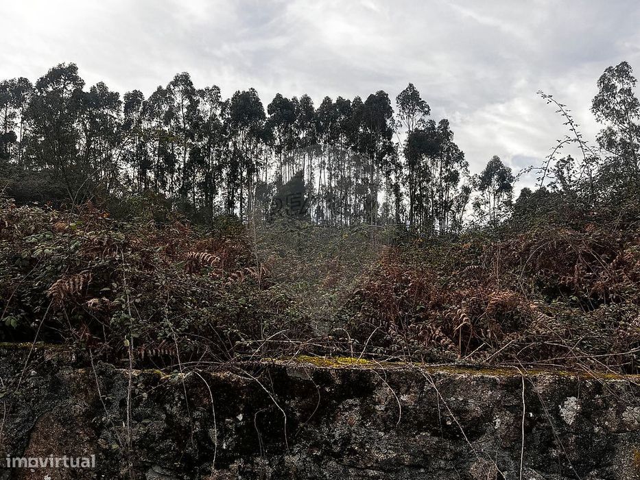 Terreno  para venda