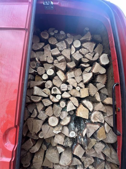 Дрова Дуб на пряму з Лісництва| Кращі ціни