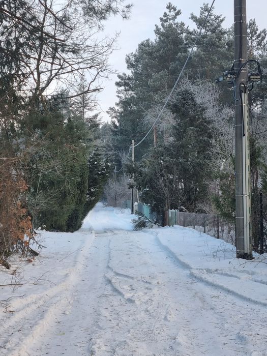 Zimowe noce las i widok gwiazd. Modrzewiowy domek nad Wkrą zaprasza