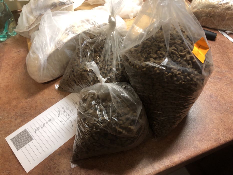 Karma dla kota Royal 2.6 kg