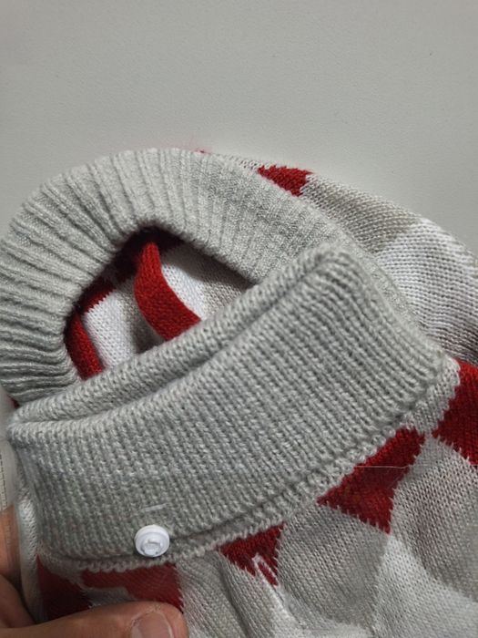 Camisola de lã para cães