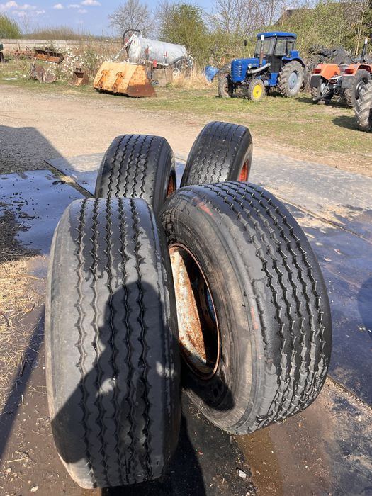 Opona plus felga do przyczepy brandys