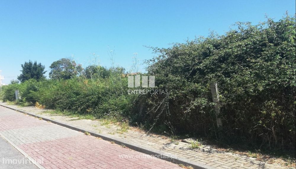Venda de Lote, Sta Marta de Portuzelo, Viana do Castelo — Santa Marta de Portuzelo, Viana do Castelo