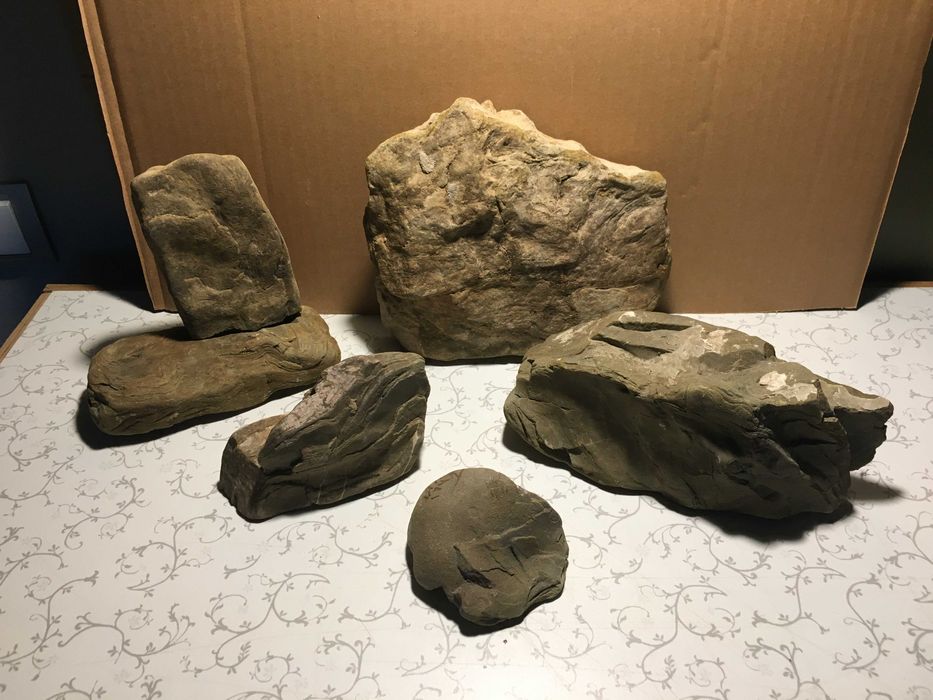 Зоотовари для дизайну тераріум