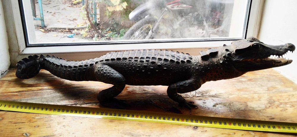Крокодил опудало