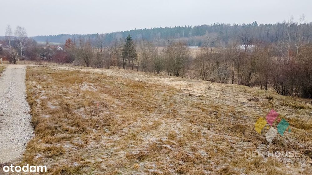 Zdjęcie 8